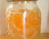 A picture of step 5 of Mandarin Orange Yeast.