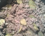 A picture of step 1 of Cheeseburger stew.