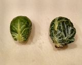 A picture of step 1 of Pancetta and Brussels Sprouts.