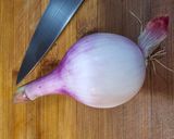 Foto del paso 2 de la receta Empedrado de judías