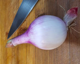 Foto del paso 2 de la receta: Empedrado de judías