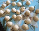 Foto del paso 4 de la receta: Conchas