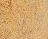 صورة لخطوة 6 من وصفة بسبوسة الشعيرية الباكستانية