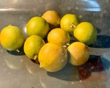 Foto del paso 3 de la receta Limón negro"El Lloumi" اللومي # 1receta 1árbol