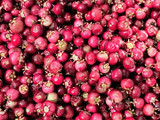 Conserva de murta y membrillo