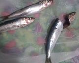 صورة لخطوة 1 من وصفة 🐟🐟 سردين متبل 🐟🐟