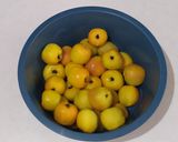 Foto del paso 4 de la receta: Tejocotes en dulce