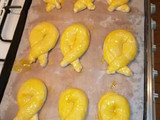 بريوش قطني