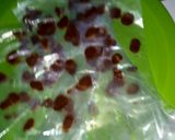 Foto langkah ke 2 dari resep Choco milk ice coki coki.