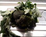Foto del passaggio 3 della ricetta Pasta con i broccoletti e mollica tostata "Atturata"