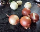 A picture of step 1 of كبه بالصينية kebbeh in pan.
