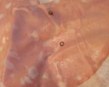 Foto del passaggio 2 della ricetta Quenelle di patate ai sapori forti