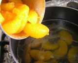 A picture of step 5 of Easy Fruit Jelly with Canned Fruit.