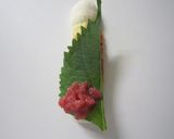 A picture of step 4 of Refreshing Chikuwa Rolls with Umeboshi and Shiso Leaves.