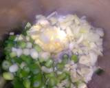 Sig's Cream of Spring & Onion(s) Soup recipe step 1 photo