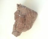 A picture of step 1 of Blinchiki.