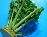 A picture of step 4 of Kkakdugi (Cubed Radish Kimchi).