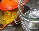 Loquat Compote in 20 Minutes recipe step 18 photo