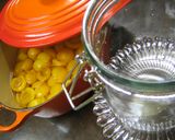 A picture of step 18 of Loquat Compote in 20 Minutes.