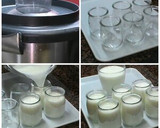 Foto del paso 2 de la receta: Yogur natural en Thermomix
