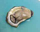 A picture of step 6 of Oysters Sous-Vide.