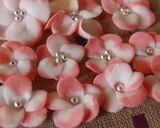 A picture of step 17 of Cute and Easy Spritz Cookies for Hina Matsuri (Doll Festival).