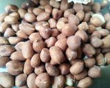 A picture of step 8 of Salty Peanuts in microwave.