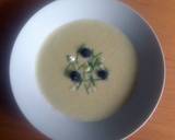 Sig's Cream of Spring & Onion(s) Soup recipe step 5 photo