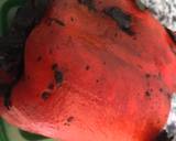 Foto del paso 1 de la receta Pizza para solteros