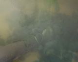 A picture of step 5 of Kadhi.