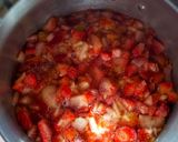 Foto del paso 2 de la receta: Mermelada de Frutilla (sin azúcar)
