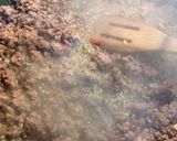 A picture of step 1 of easy ground beef dish.