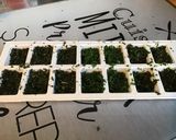 Une image de l'étape 9 de Herbes fraîches au naturel (menthe, coriandre, persil frisé).