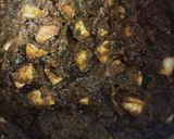 પાલક પનીર (Palak Paneer Recipe In Gujarati) રેસીપી સ્ટેપ4ફોટો