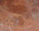 मसूर दाल फ्राई(masoor dal fry recipe in hindi) रेसिपी चरण 2 फोटो