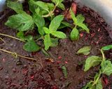 A picture of step 3 of Zobo.