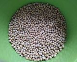 Foto langkah ke 1 dari resep Susu Kacang Kedelai.