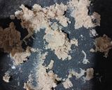 Foto langkah ke 1 dari resep Tahu Walik Isi Tahu.