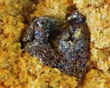 Foto del paso 4 de la receta Budín Vegano de zanahoria y naranja