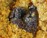 Foto del paso 4 de la receta: Budín Vegano de zanahoria y naranja