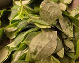 Foto langkah ke 3 dari resep Sayur Jambrai Segar Khas Sumbawa – Nikmatnya Sarapan Tradisional.
