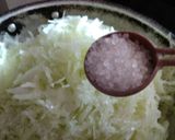 A picture of step 13 of Fafada-Kadhi with Grated Raw Papaya.