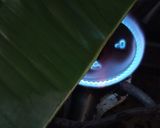 Foto langkah ke 2 dari resep Pais Pisang.