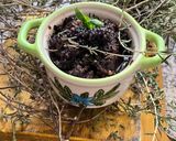 Une image de l'étape 9 de 🪹🍃Tapenade olive 🫒 noire herbes 🌿 de Provence🌶️🪻piment oiseau🌶️.