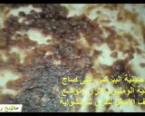 صورة لخطوة 4 من وصفة معكرونة سباجيتي بالبشاميل وبواقى لحم سابق الطهي