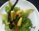 A picture of step 10 of Salad summer delight from veggie and fruit garden.