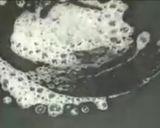A picture of step 3 of Mayonnaise sandwich on tawa.