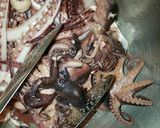 Foto del paso 4 de la receta: Fideuá con mariscos