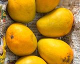 A picture of step 10 of Sunshine Bliss-No-Bake Mango Cheesecake.