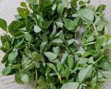 A picture of step 1 of Methi Leaves Kadhi.